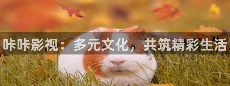 奇领yy6080新视觉影院在线观看