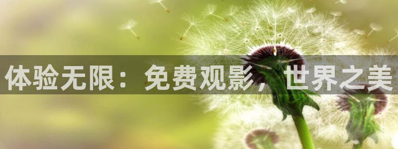 yy6080新视觉影院手机