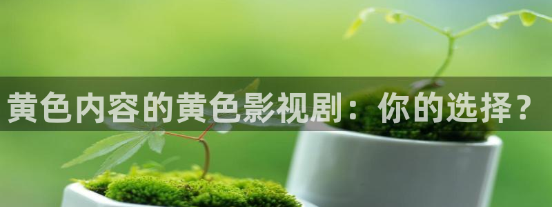 6080新视觉手机版